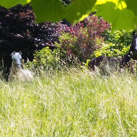 Ferienhaus Zeit-/los Quilk