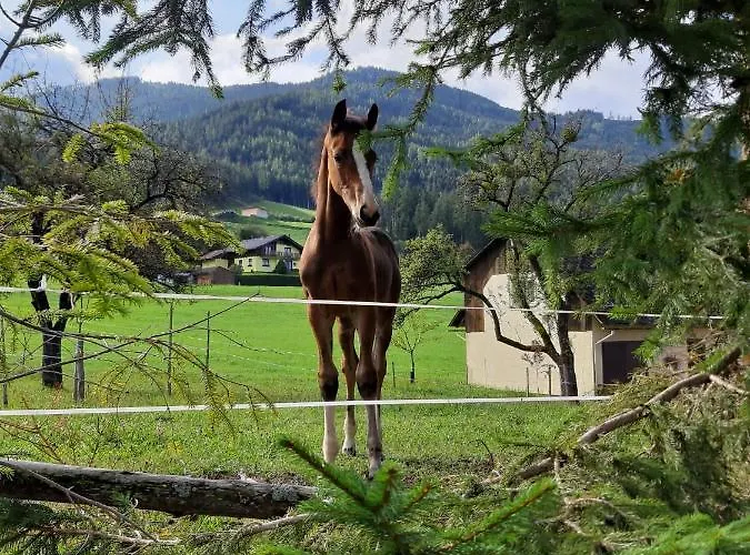 Zeit-/los Quilk بيت للعطل