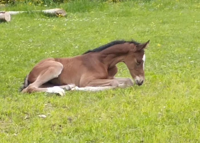 Zeit-/los Quilk بيت للعطل
