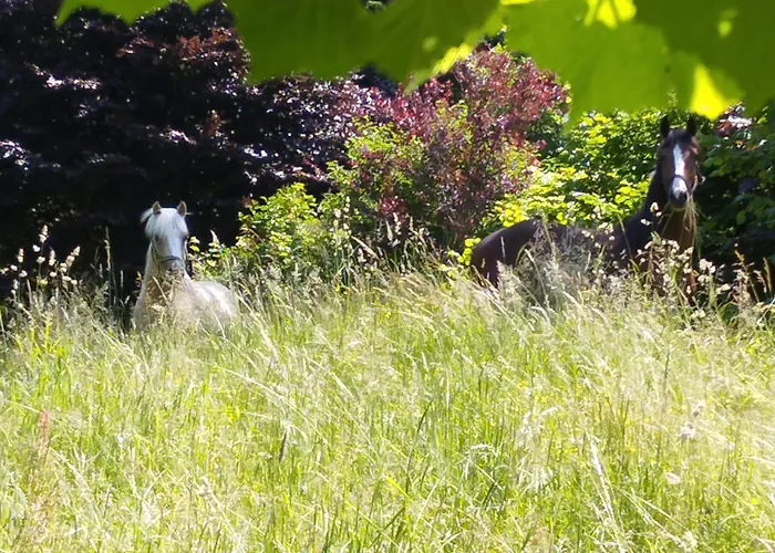 بيت للعطل Zeit-/los Quilk